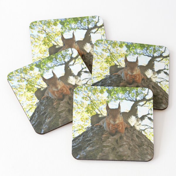Item preview, Squirrel Wildlife Animal Lover designed and sold by todantilane.