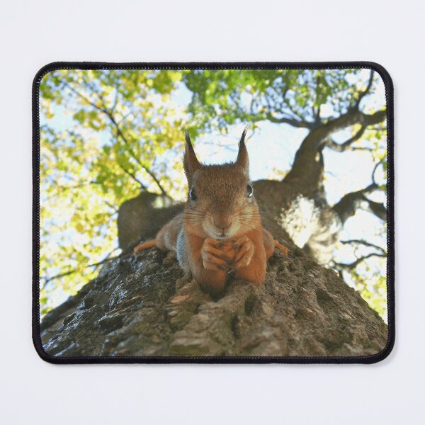 Item preview, Squirrel Wildlife Animal Lover designed and sold by todantilane.