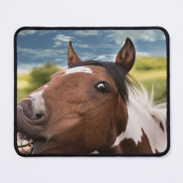Item preview, Funny Horse Lover Goofy Equestrian Animal Humor designed and sold by todantilane.