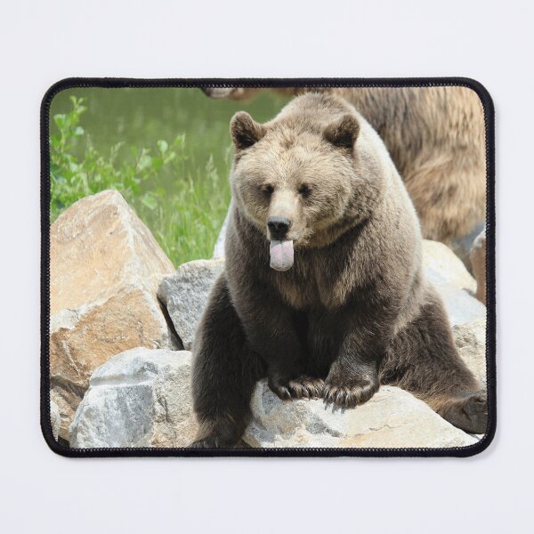 Item preview, Grizzly Bear Tongue Out Wildlife Animal Lover designed and sold by todantilane.
