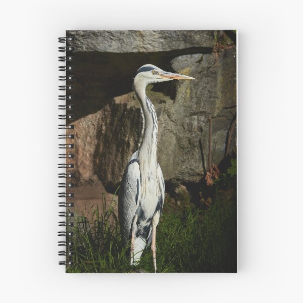 Item preview, Opportunistic Grey Heron II designed and sold by Eidetic Photos.