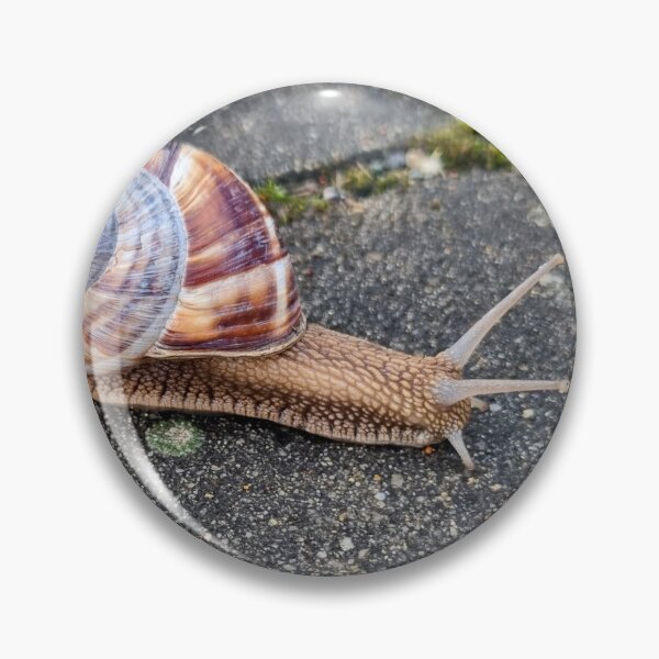 Item preview, Snail on the Road designed and sold by Anastasia Kaneva.