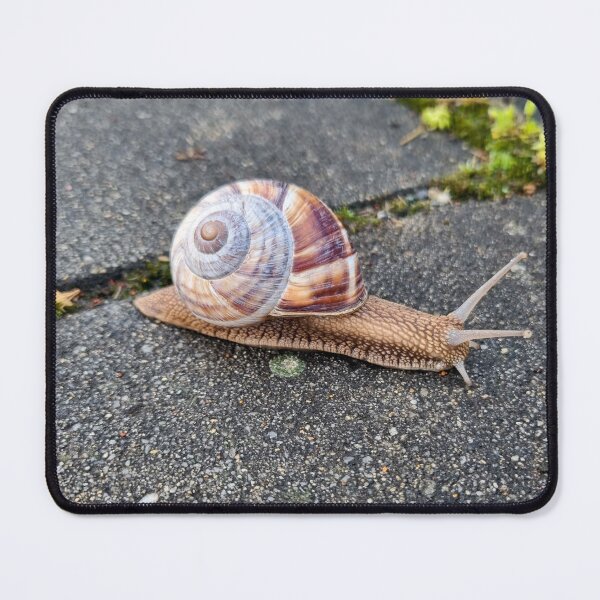 Item preview, Snail on the Road designed and sold by Anastasia Kaneva.
