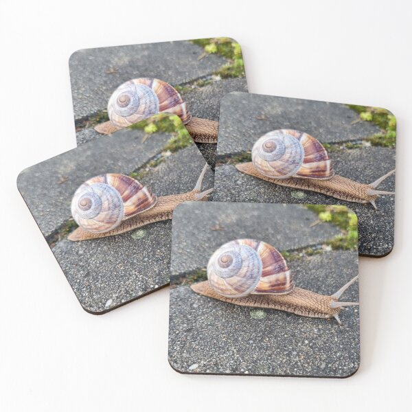 Item preview, Snail on the Road designed and sold by Anastasia Kaneva.