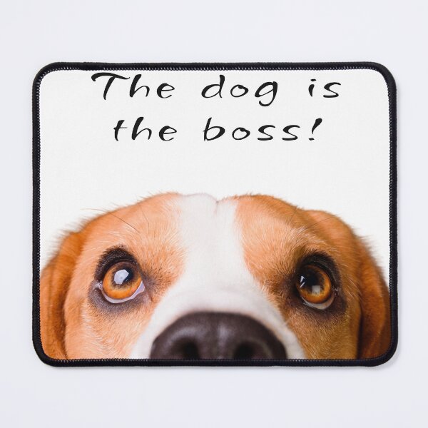 Item preview, The Dog Is The Boss Funny Beagle designed and sold by ASdzign.
