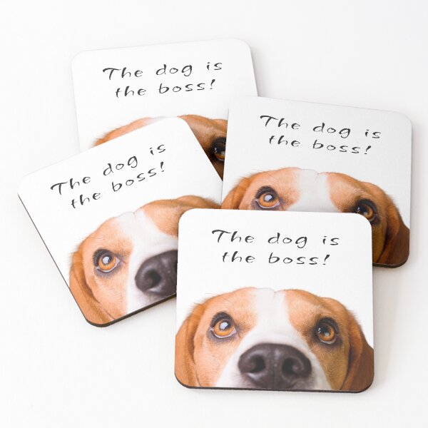 Item preview, The Dog Is The Boss Funny Beagle designed and sold by ASdzign.