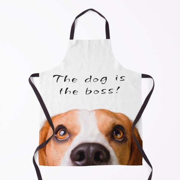 Item preview, The Dog Is The Boss Funny Beagle designed and sold by ASdzign.