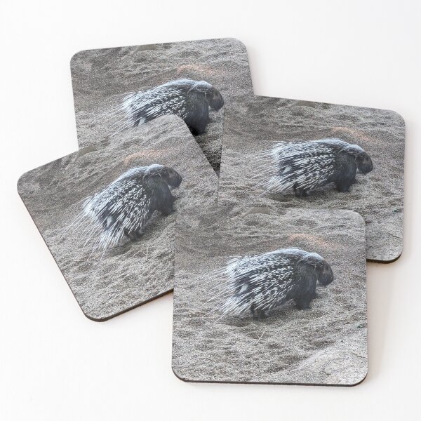 Item preview, Watch Out for That Porcupine!! designed and sold by Valerie Harrelson.