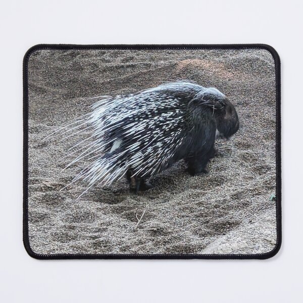 Item preview, Watch Out for That Porcupine!! designed and sold by Valerie Harrelson.