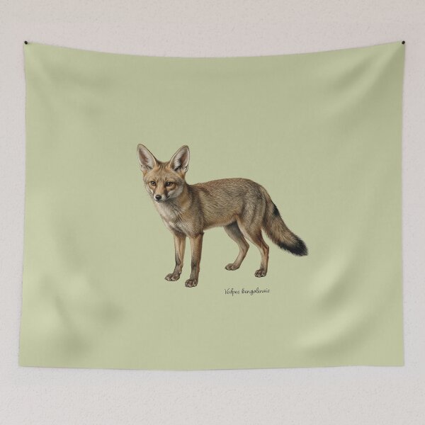 Item preview, Bengal Fox: The Arid Phantom Wildlife Illustration Print designed and sold by FreiherrPK.