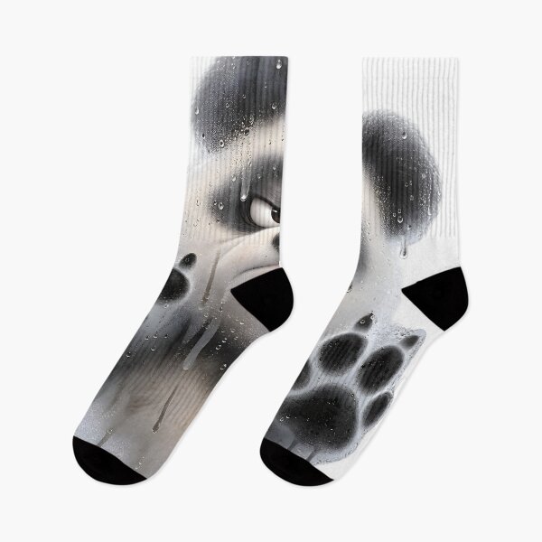 Item preview, Panda Window designed and sold by TOMSZE.