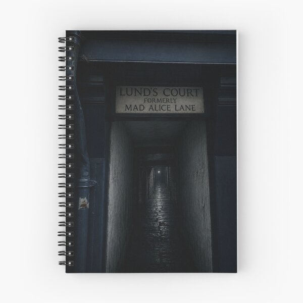 Item preview, Lund's Court: Secrets of Mad Alice Lane designed and sold by Astute-Artio-Photography.