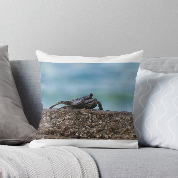 Item preview, Sunbathing crab designed and sold by Artytiff.
