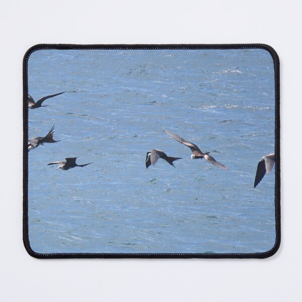 Item preview, Sea birds designed and sold by Artytiff.