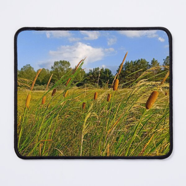 Item preview, Windy Summer Meadow: Wild Cattails Under a Blue Sky designed and sold by Levorr.