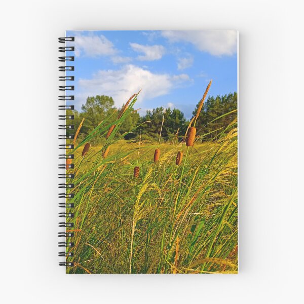 Item preview, Windy Summer Meadow: Wild Cattails Under a Blue Sky designed and sold by Levorr.