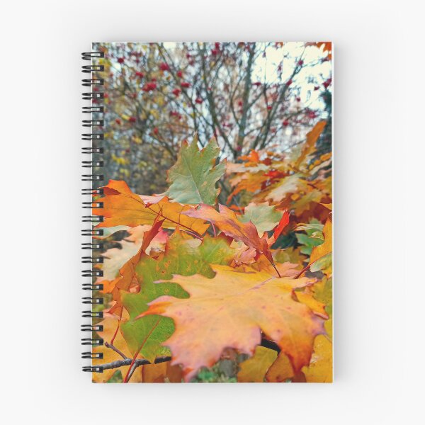 Item preview, Autumn Forest Walk: Red Oak Leaves and Wild Berries designed and sold by Levorr.