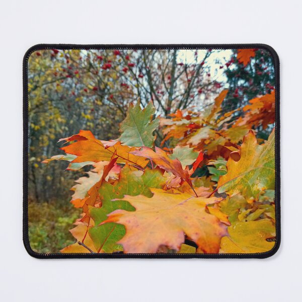 Item preview, Autumn Forest Walk: Red Oak Leaves and Wild Berries designed and sold by Levorr.