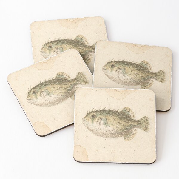 Item preview, Vintage Pufferfish Marine Specimen Plate designed and sold by PictorialWhimsy.