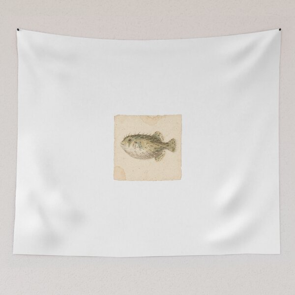 Item preview, Vintage Pufferfish Marine Specimen Plate designed and sold by PictorialWhimsy.