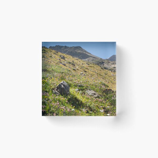 Item preview, Alpine Wildflowers in the Mountains designed and sold by alicjamiekina.