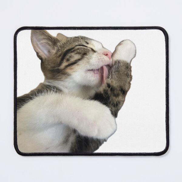 Item preview, Cute Tabby Kitten Grooming Funny Bathing Cat Meme designed and sold by MeliMedO Art.