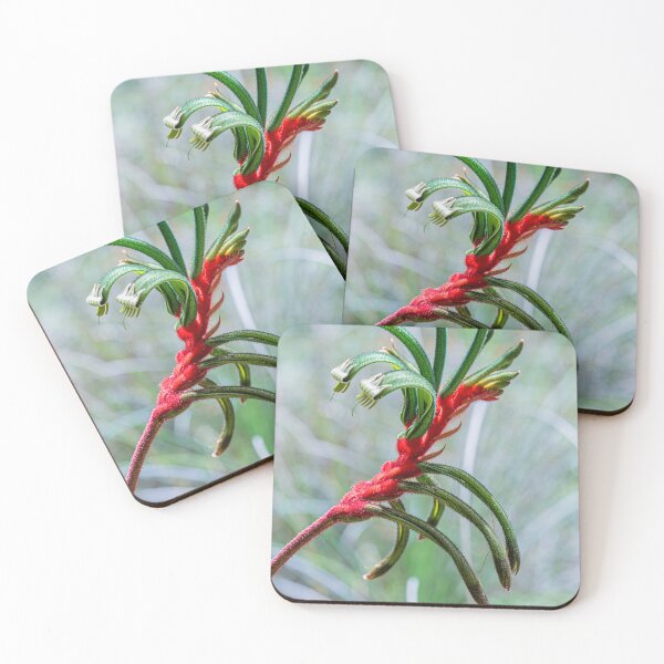 Item preview, Red and Green Kangaroo Paw — Anigozanthos manglesii Fine Art Print designed and sold by MinzMarchStudio.