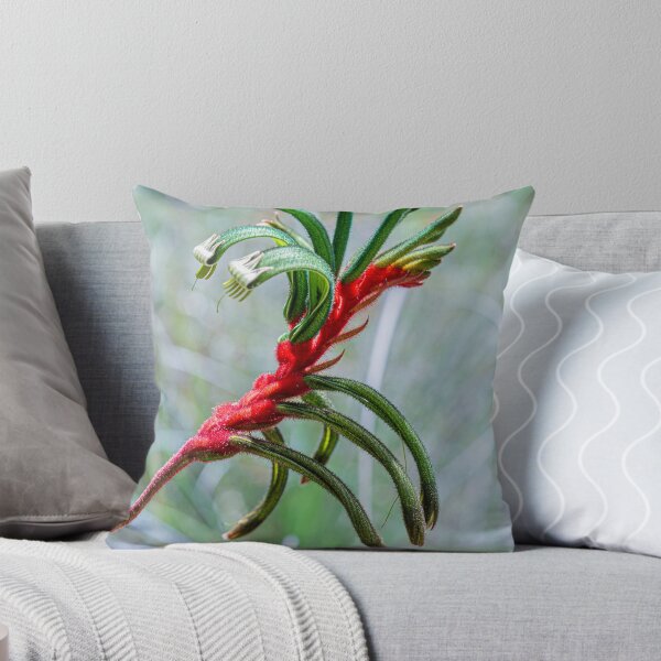 Item preview, Red and Green Kangaroo Paw — Anigozanthos manglesii Fine Art Print designed and sold by MinzMarchStudio.