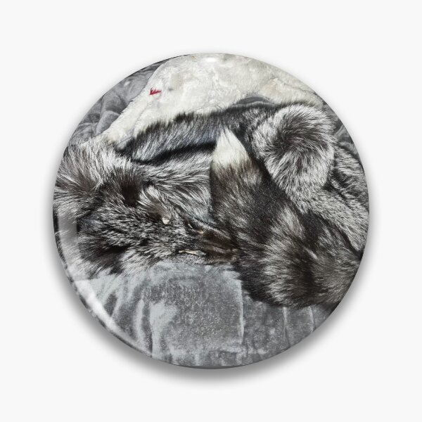 Item preview, Sleeping silver fox designed and sold by 880Dreamer008.