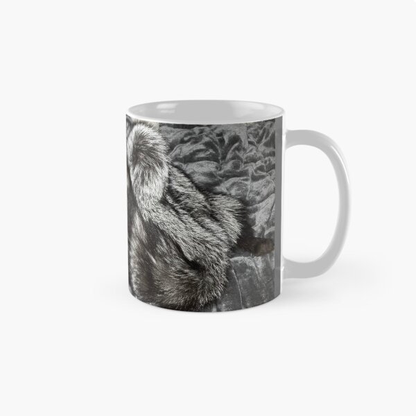 Item preview, Sleeping silver fox designed and sold by 880Dreamer008.