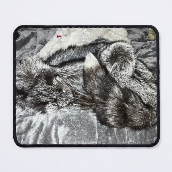Item preview, Sleeping silver fox designed and sold by 880Dreamer008.