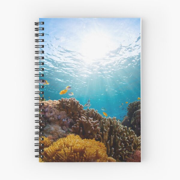 Item preview, Bottom of the sea designed and sold by Darío Fabián González Sheridan.
