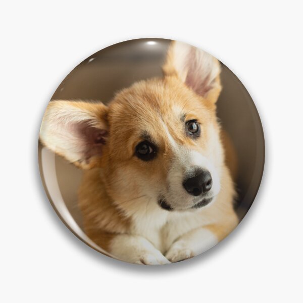 Item preview, Adorable Pembroke Welsh Corgi Dog Tilting Its Head designed and sold by VanGaldo.