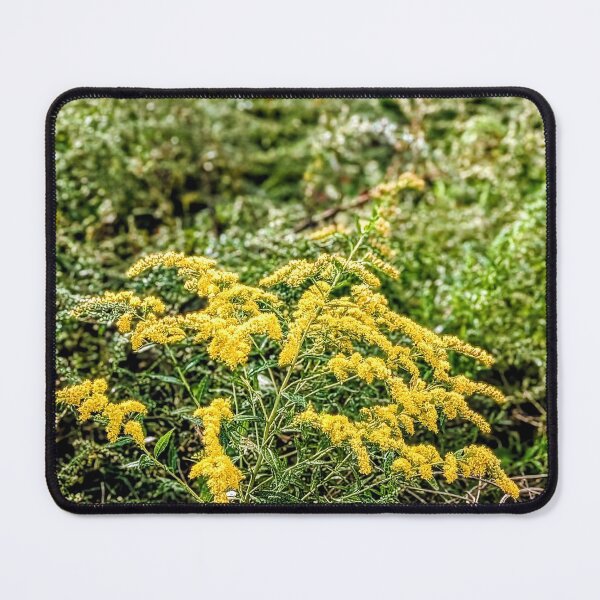 Item preview, Blooming Goldenrod in Late Summer Meadow designed and sold by Garden Gets Wilde.