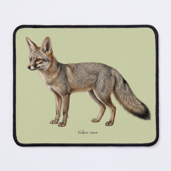 Item preview, Blanford's Fox: The Cliff-Climbing Phantom Wildlife Art Print designed and sold by FreiherrPK.