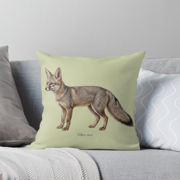 Item preview, Blanford's Fox: The Cliff-Climbing Phantom Wildlife Art Print designed and sold by FreiherrPK.