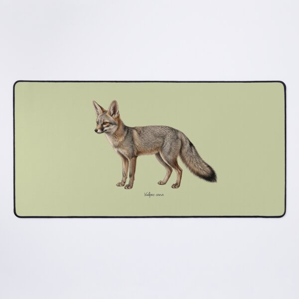 Item preview, Blanford's Fox: The Cliff-Climbing Phantom Wildlife Art Print designed and sold by FreiherrPK.