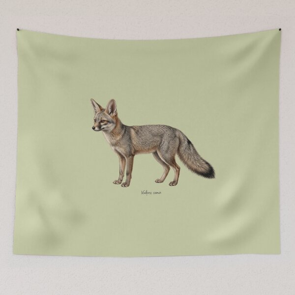Item preview, Blanford's Fox: The Cliff-Climbing Phantom Wildlife Art Print designed and sold by FreiherrPK.