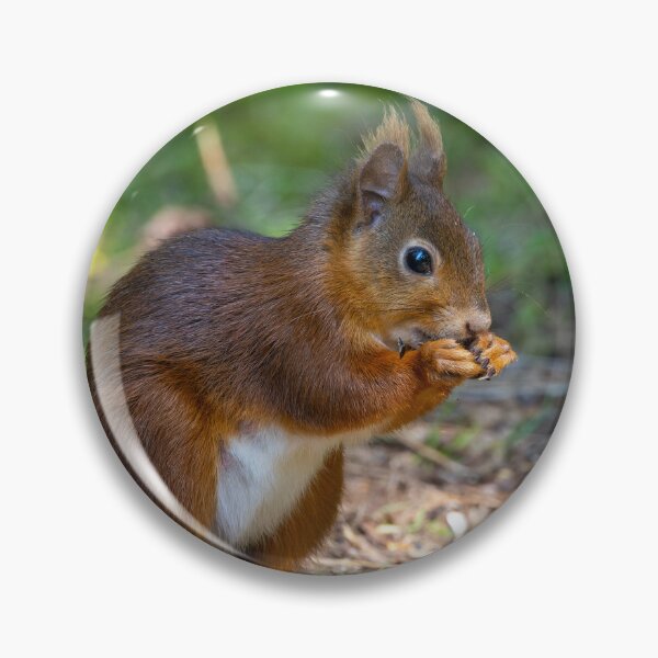Item preview, Red Squirrel designed and sold by deeve0.
