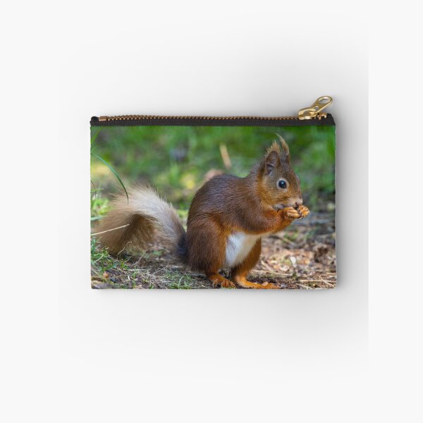 Item preview, Red Squirrel designed and sold by deeve0.