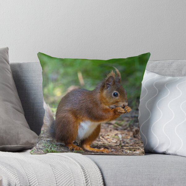 Item preview, Red Squirrel designed and sold by deeve0.