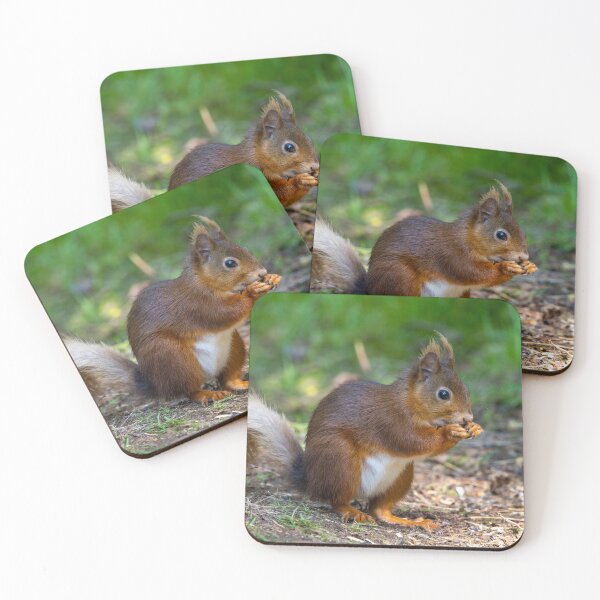 Item preview, Red Squirrel designed and sold by deeve0.