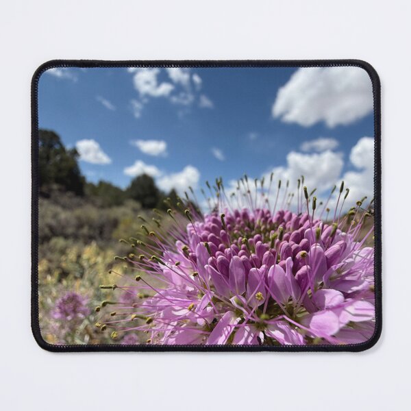 Item preview, Fireworks in a Flower  designed and sold by Betsy Phillips.