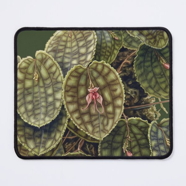 Item preview, Lepanthes Calodictyon: The Reticulated Cloud Forest Orchid Fine Art Print designed and sold by FreiherrPK.