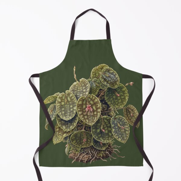 Item preview, Lepanthes Calodictyon: The Reticulated Cloud Forest Orchid Fine Art Print designed and sold by FreiherrPK.