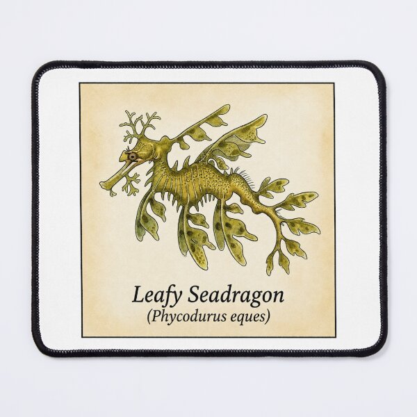 Item preview, Leafy Seadragon Vintage Naturalist Illustration Art designed and sold by KenworksDigital.