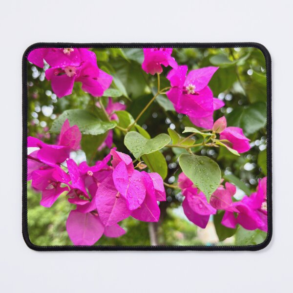 Item preview, Vibrant Magenta Bougainvillea Flowers designed and sold by davitlong.