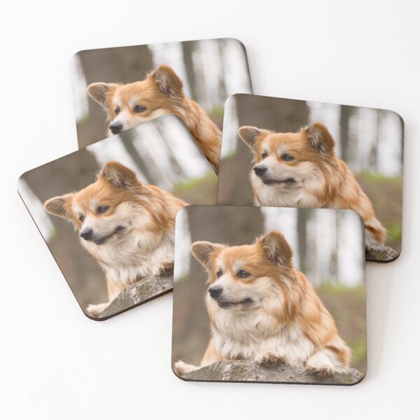 Item preview, Beautiful Long Haired Corgi Resting Outdoors designed and sold by VanGaldo.