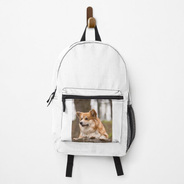 Item preview, Beautiful Long Haired Corgi Resting Outdoors designed and sold by VanGaldo.