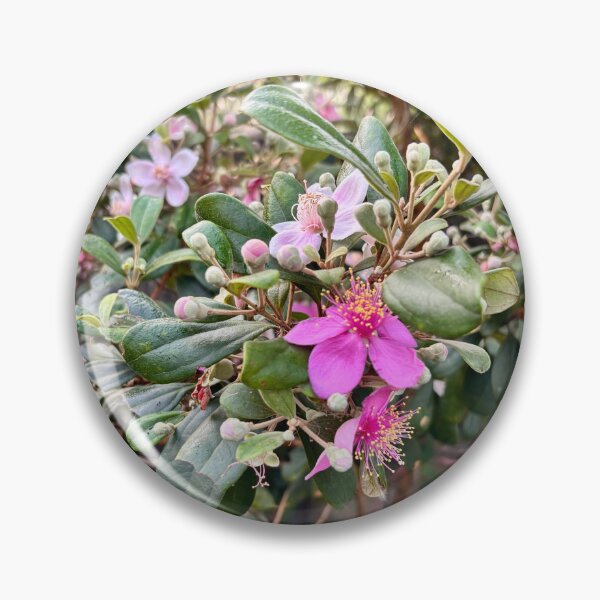 Item preview, Wild Pink Rose Myrtle Flowers designed and sold by davitlong.